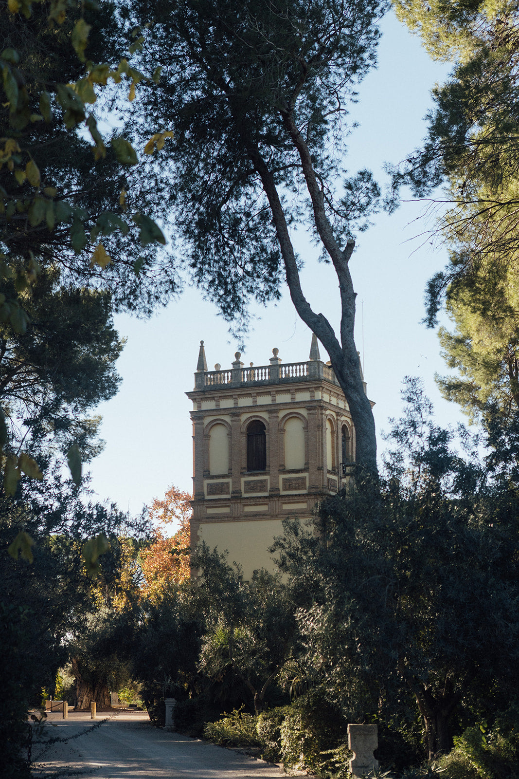 The Wedding Mafia Trip | Día 1